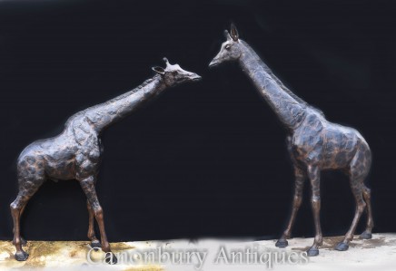 Pair Large Bronze Giraffe Statues - 210 Metres XL