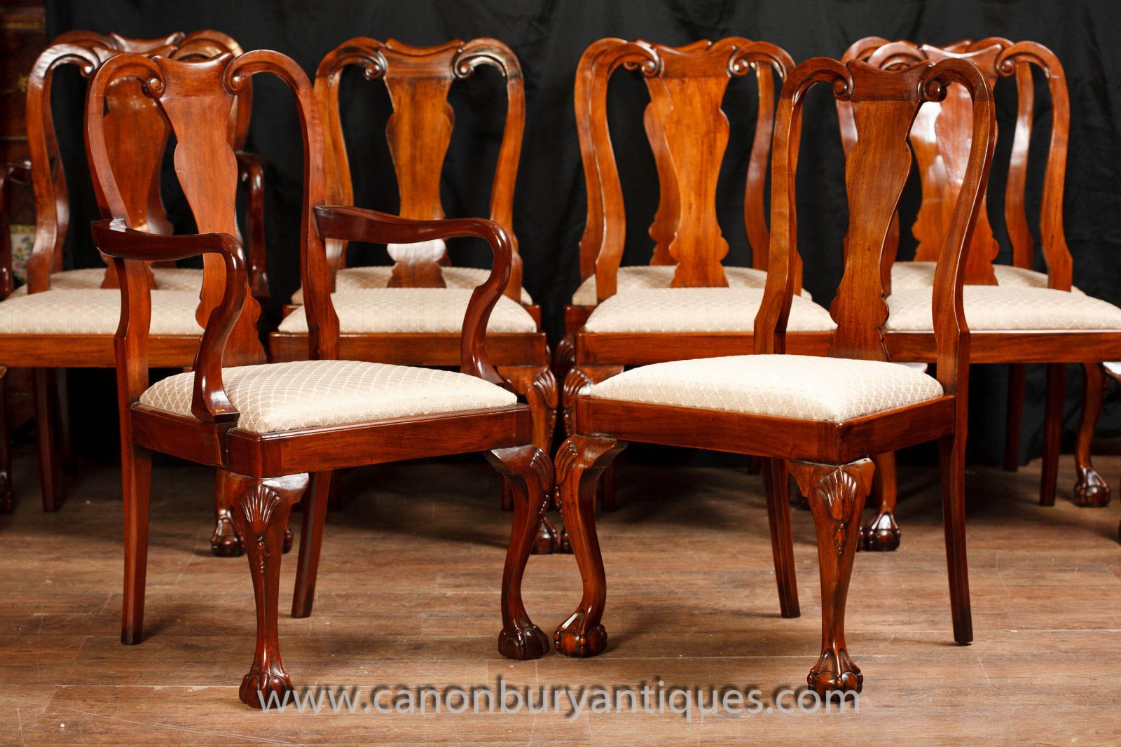 Queen Anne dining chairs in walnut