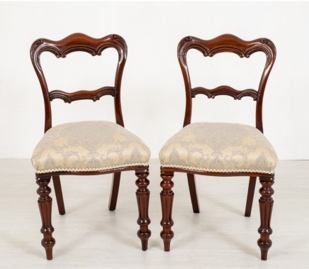 Pair William IV Chairs - Antique Mahogany Chair