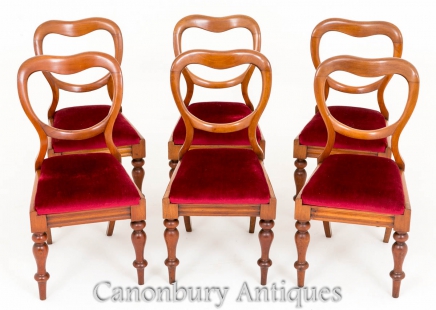Set 6 Antique Mahogany Victorian Balloon Back Dining Chairs