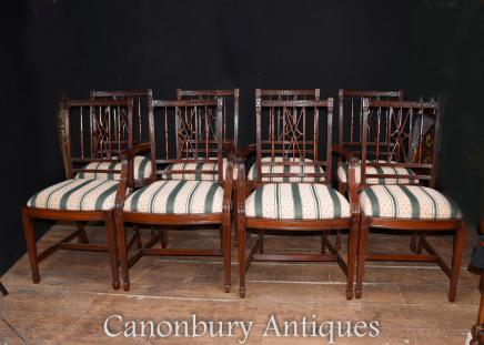 Set 8 Regency Mahogany Dining Chairs Diners