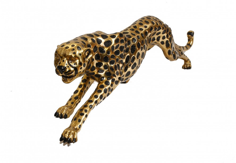 cheetah lounge bahamas